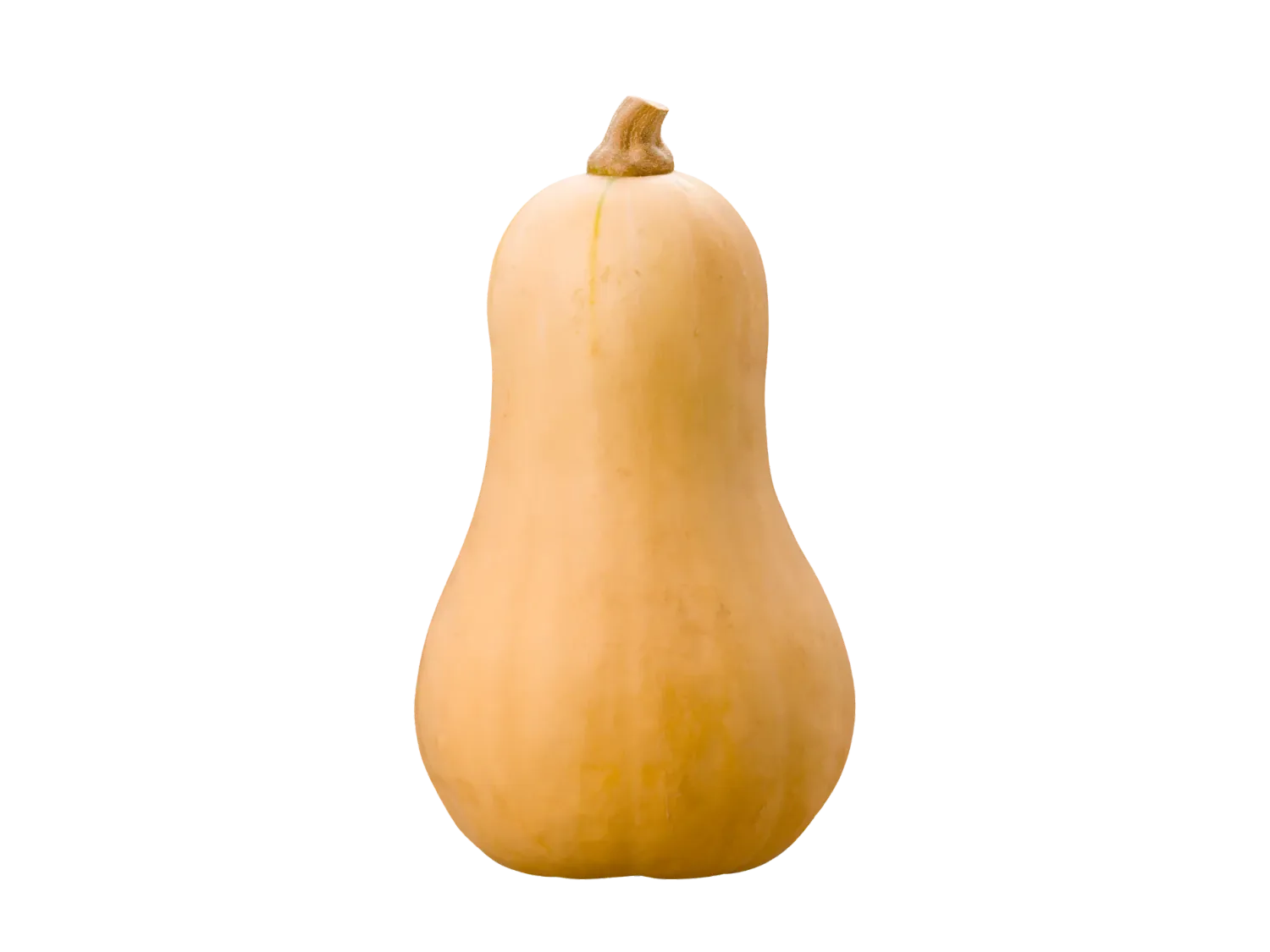 A- Courge butternut bio à la pièce (CLAVELERE) - 26/11