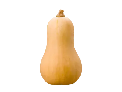 A- Courge butternut bio à la pièce (CLAVELERE) - 26/11