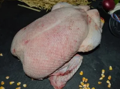 V- Canard de Bourgogne - 23/12