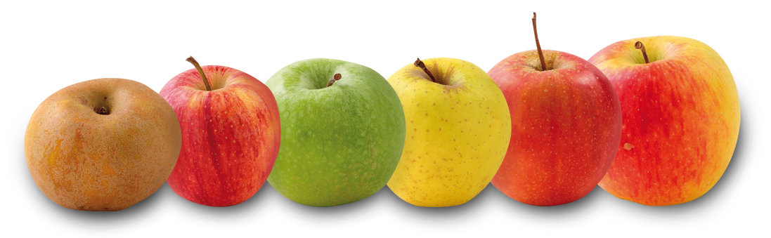A- Pommes bio 10 kg - 29/10