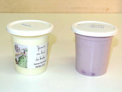 FYF- Yaourt de brebis aux FRUITS - 15/04