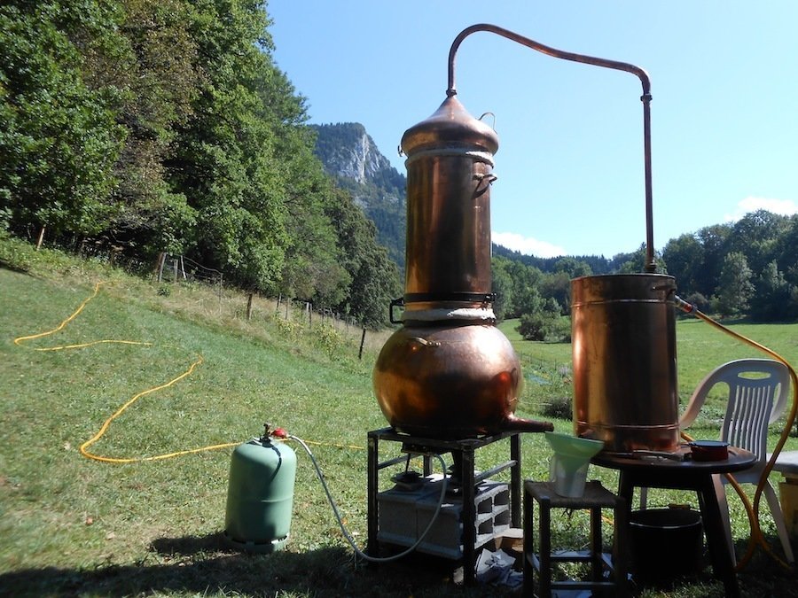 W- Baume (50ml) - 15/04