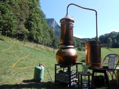 W- Bouchon spray - 15/04