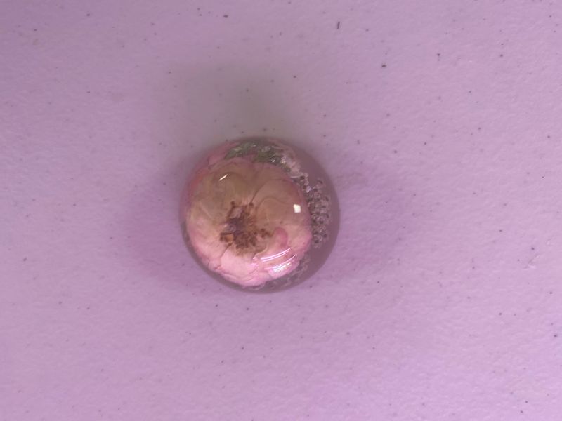 Memory Resin Dome with floral option Custom Order/custom pricing