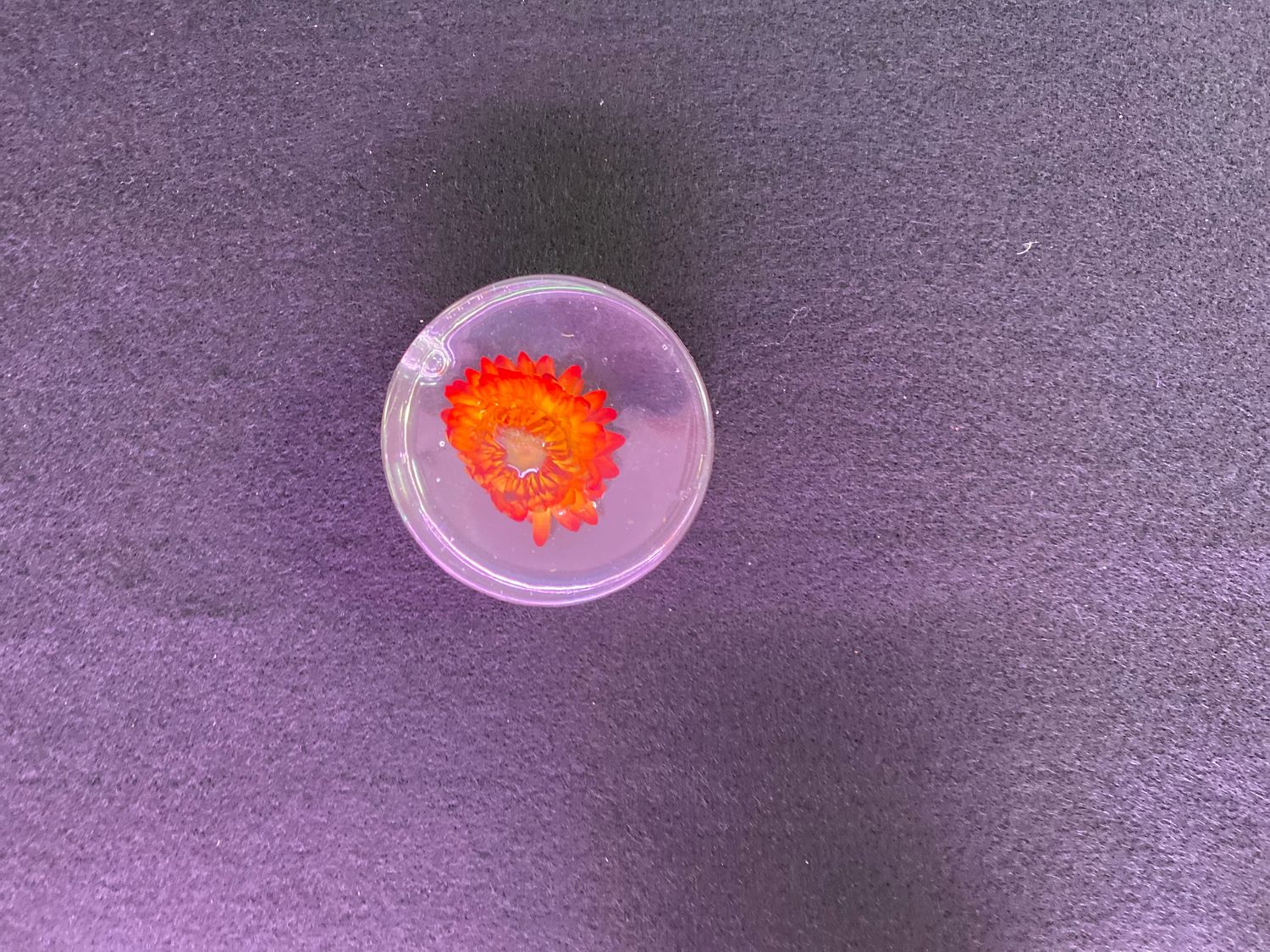 Memory Round Resin disc with floral option  custom order/pricing