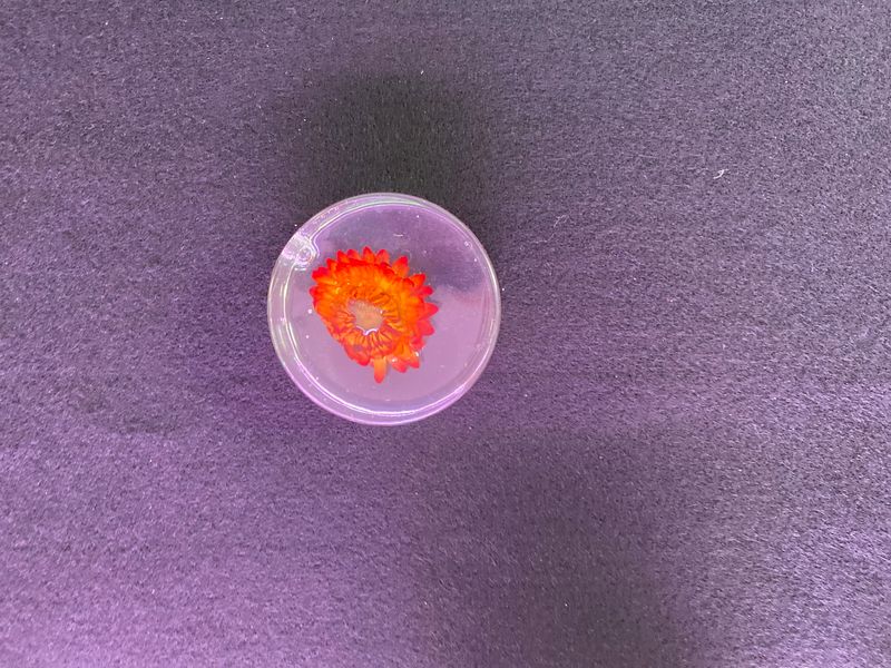 Memory Round Resin disc with floral option  custom order/pricing