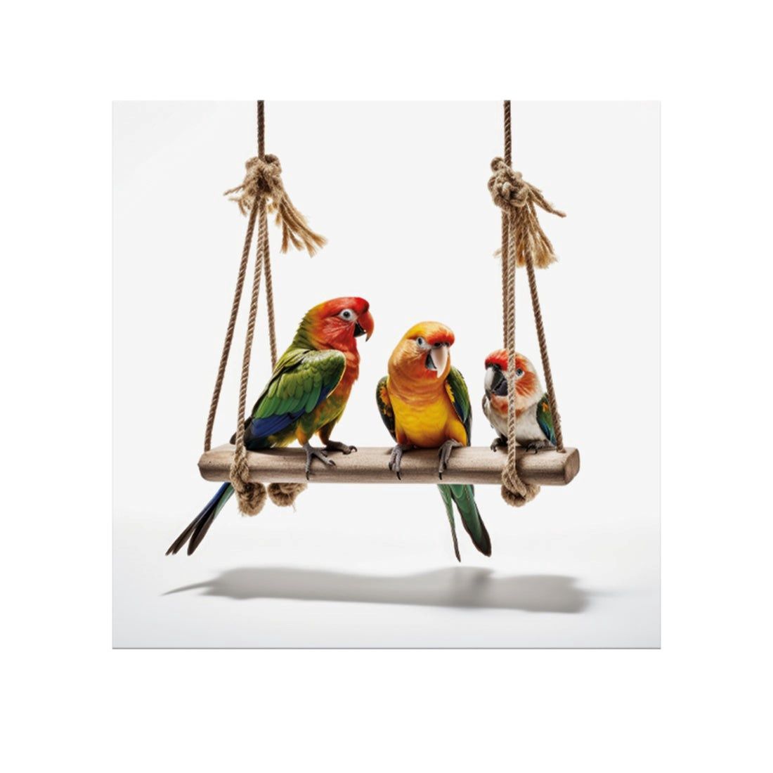 Clrs PBN Parrots