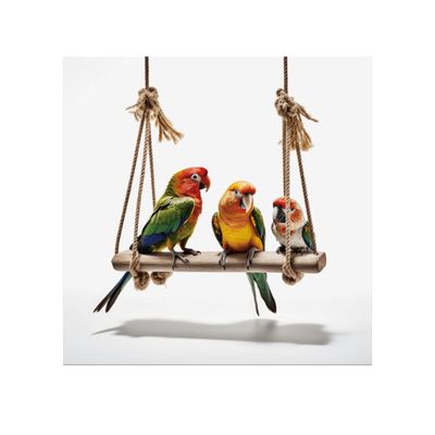 Clrs PBN Parrots