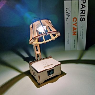Alicorn DIY STEM Kit, Electric LED Lamp