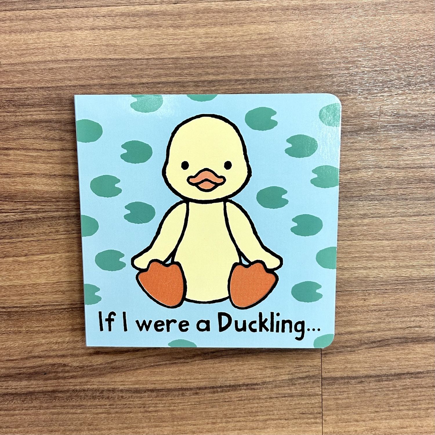 If I Were A Duckling Book