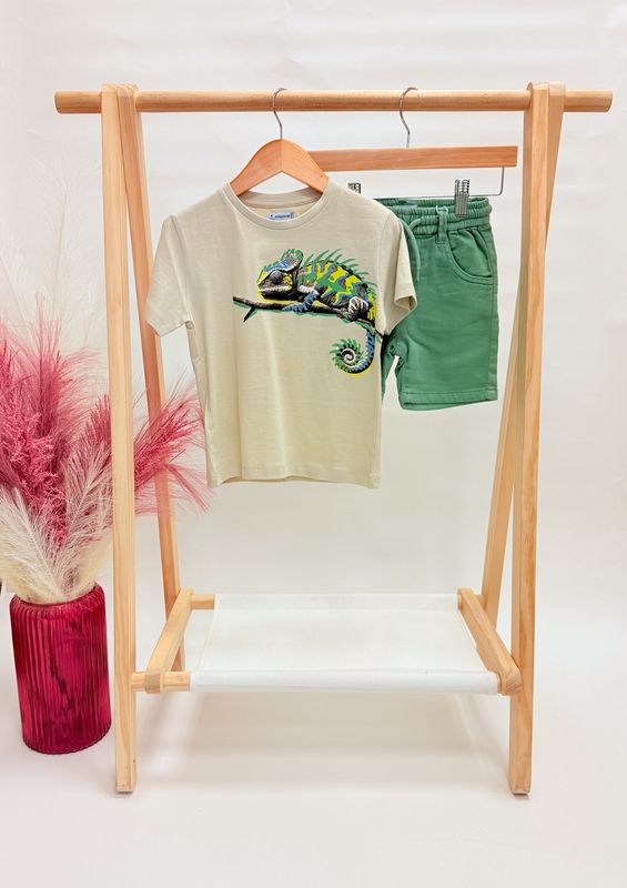 Iguana Short Set