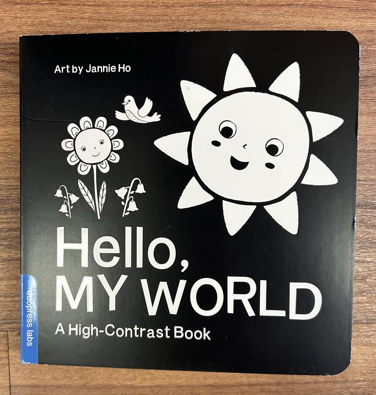 Hello My World Book
