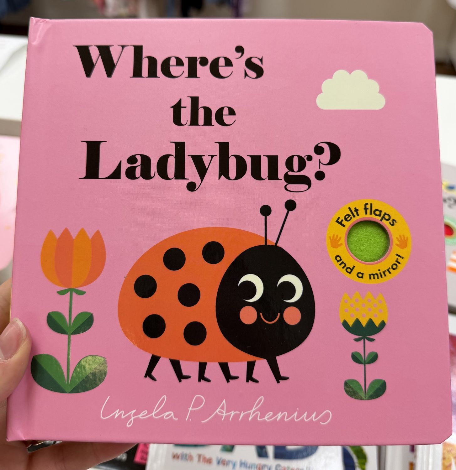 Where's the Ladybug Book