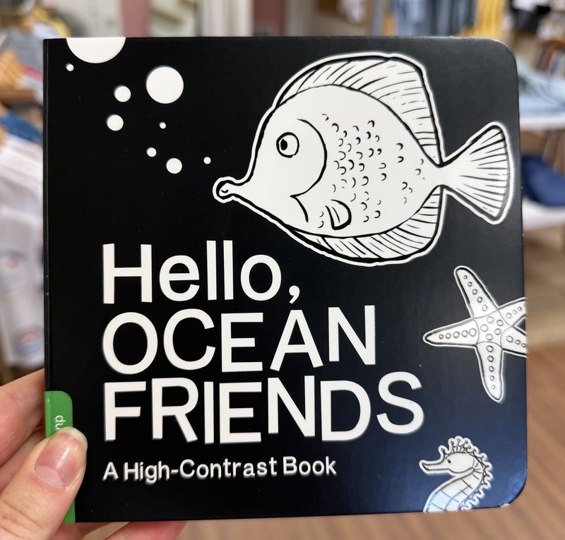 Hello, Ocean Friends Book