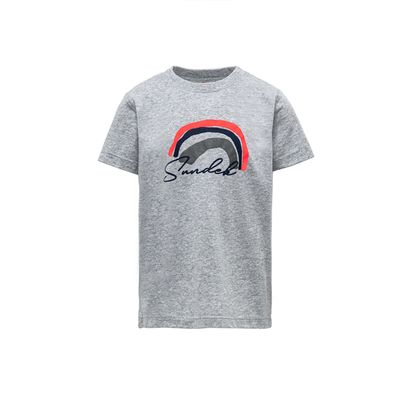 Boy Printed T-Shirt - Grey Melange