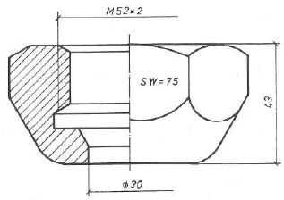 Cap nut M52