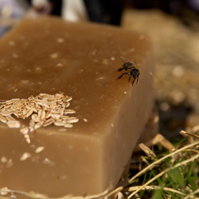 Goat Milk Soap Farmers Scrub