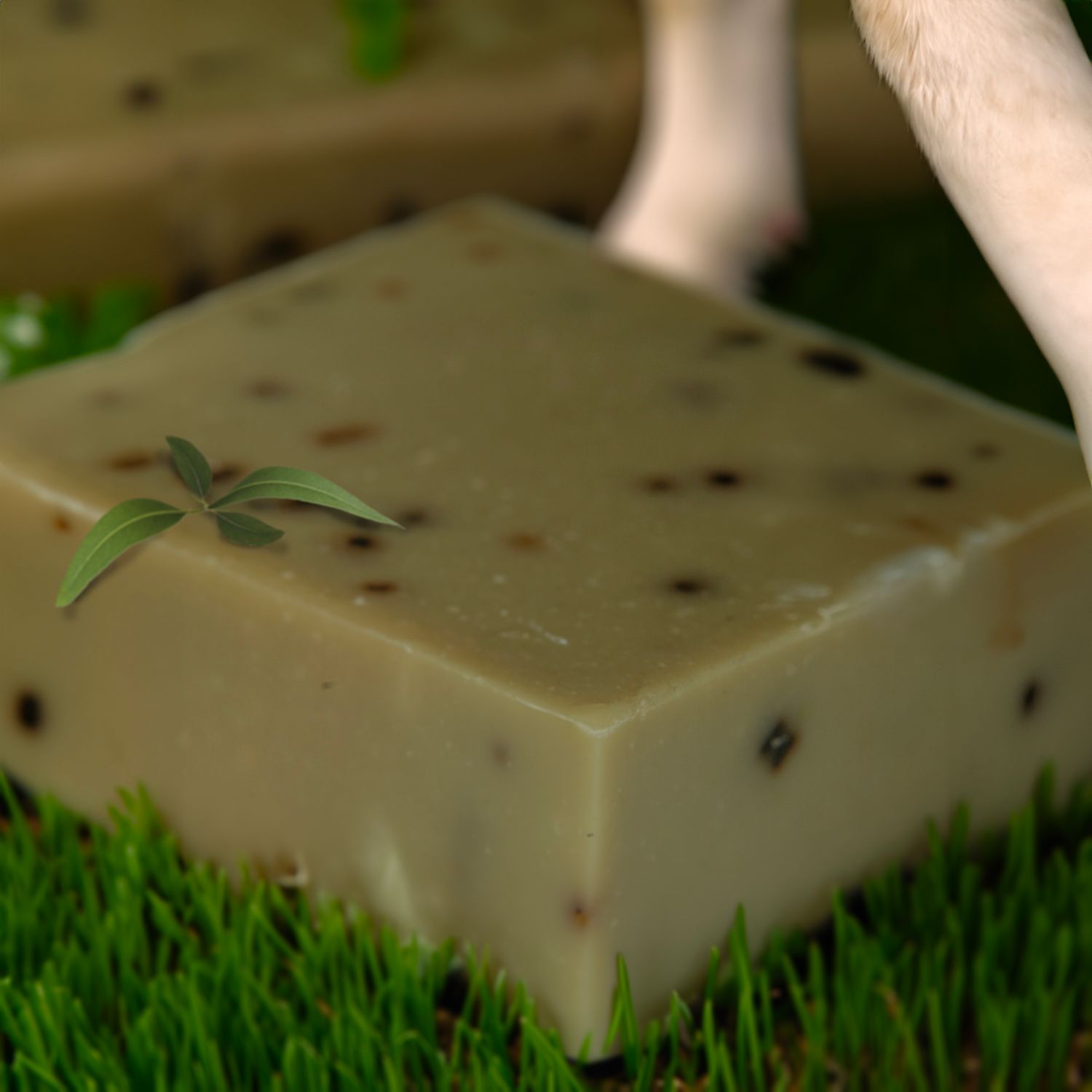 Goat Milk Soap Rosemary Lather