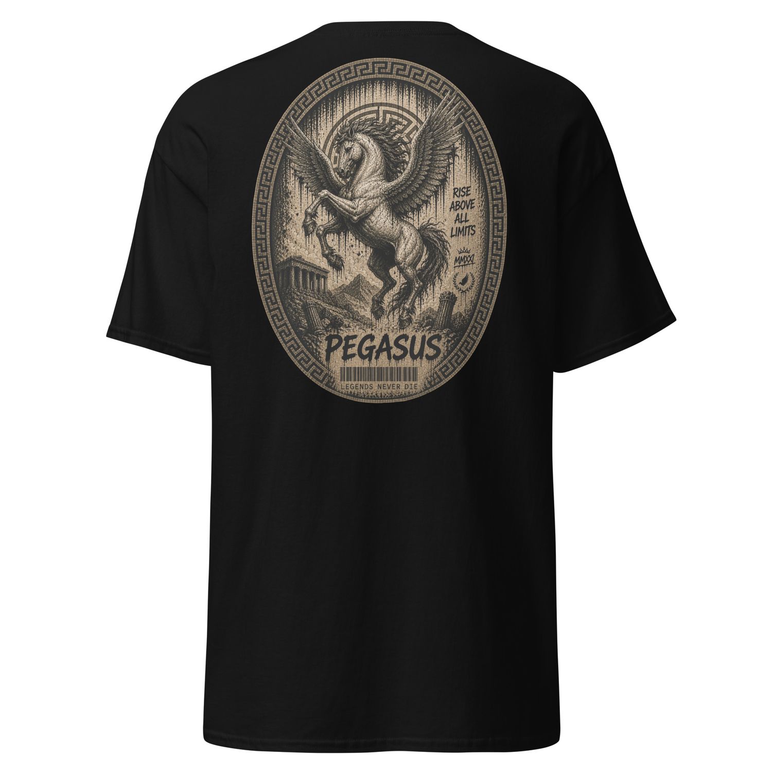 Rise Above Limits Tee