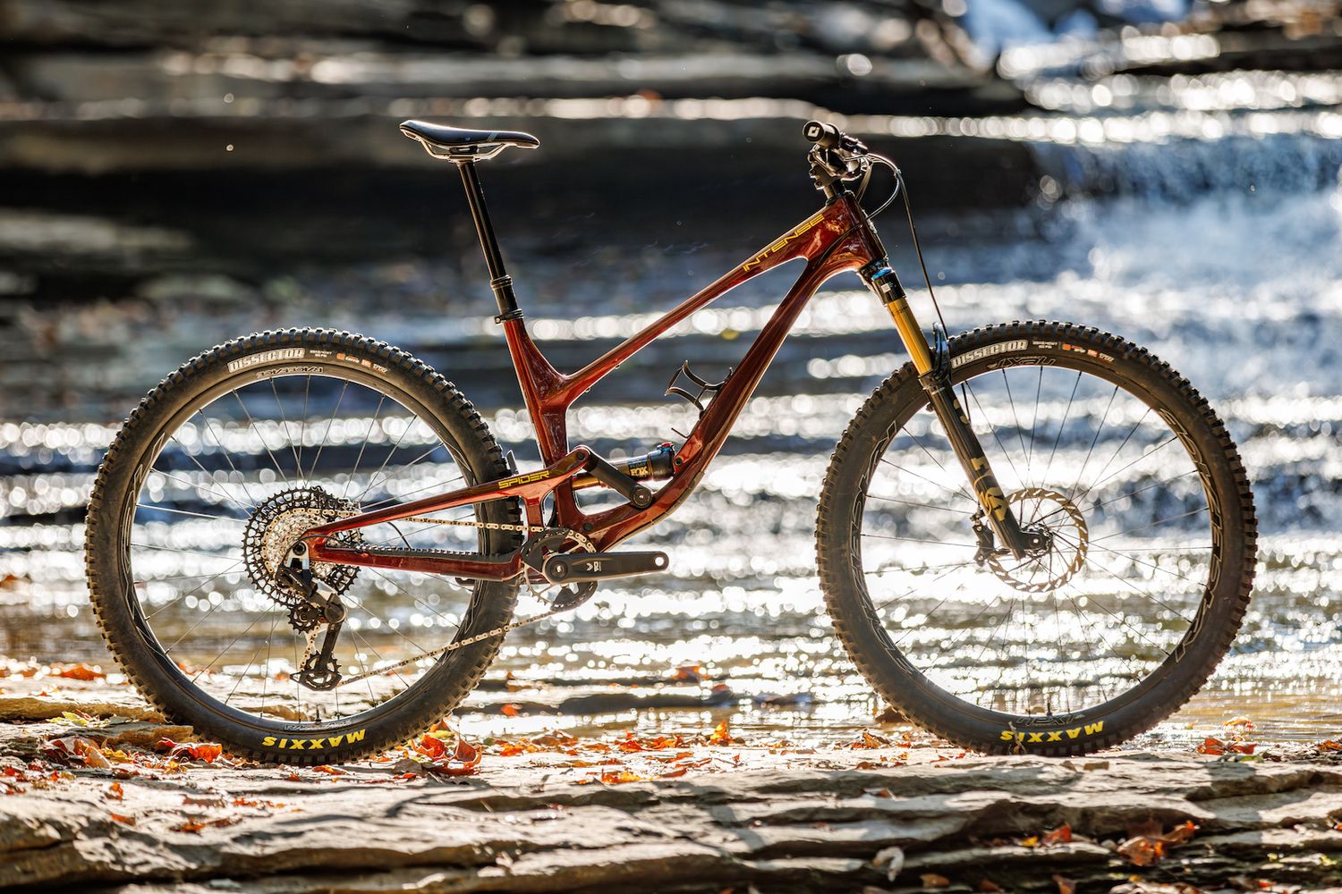 Intense Spider Frame