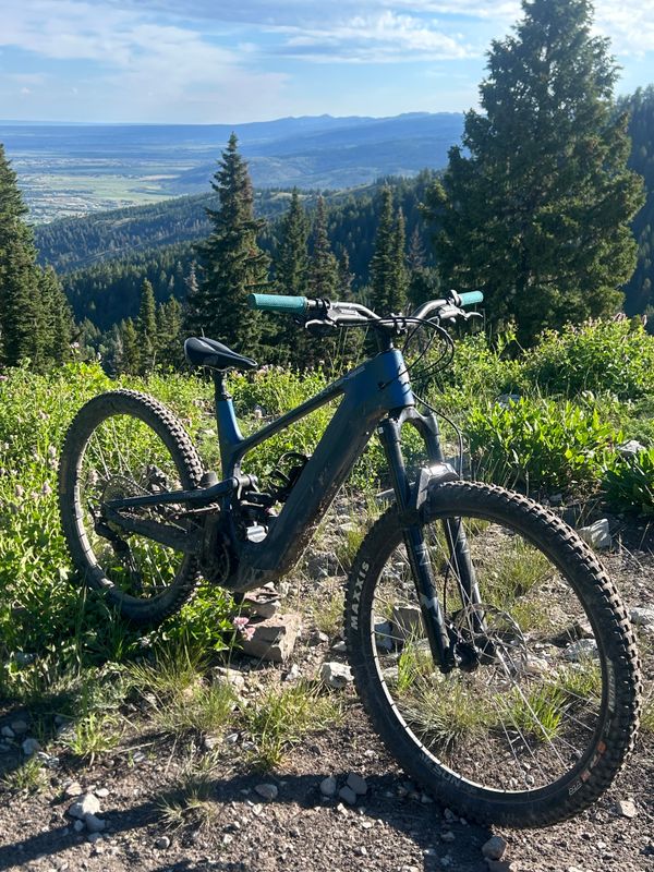 DEMO Intense Tazer eMTB Custom DEMO Intense Tazer eMTB Custom