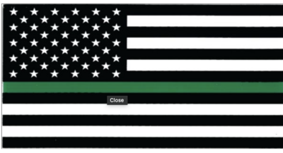 AMERICAN FLAG THIN GREEN LINE DECAL