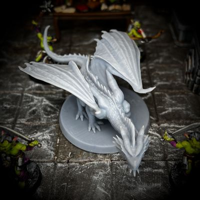 Young Red Dragon - Fantasy TTRPG Miniatures