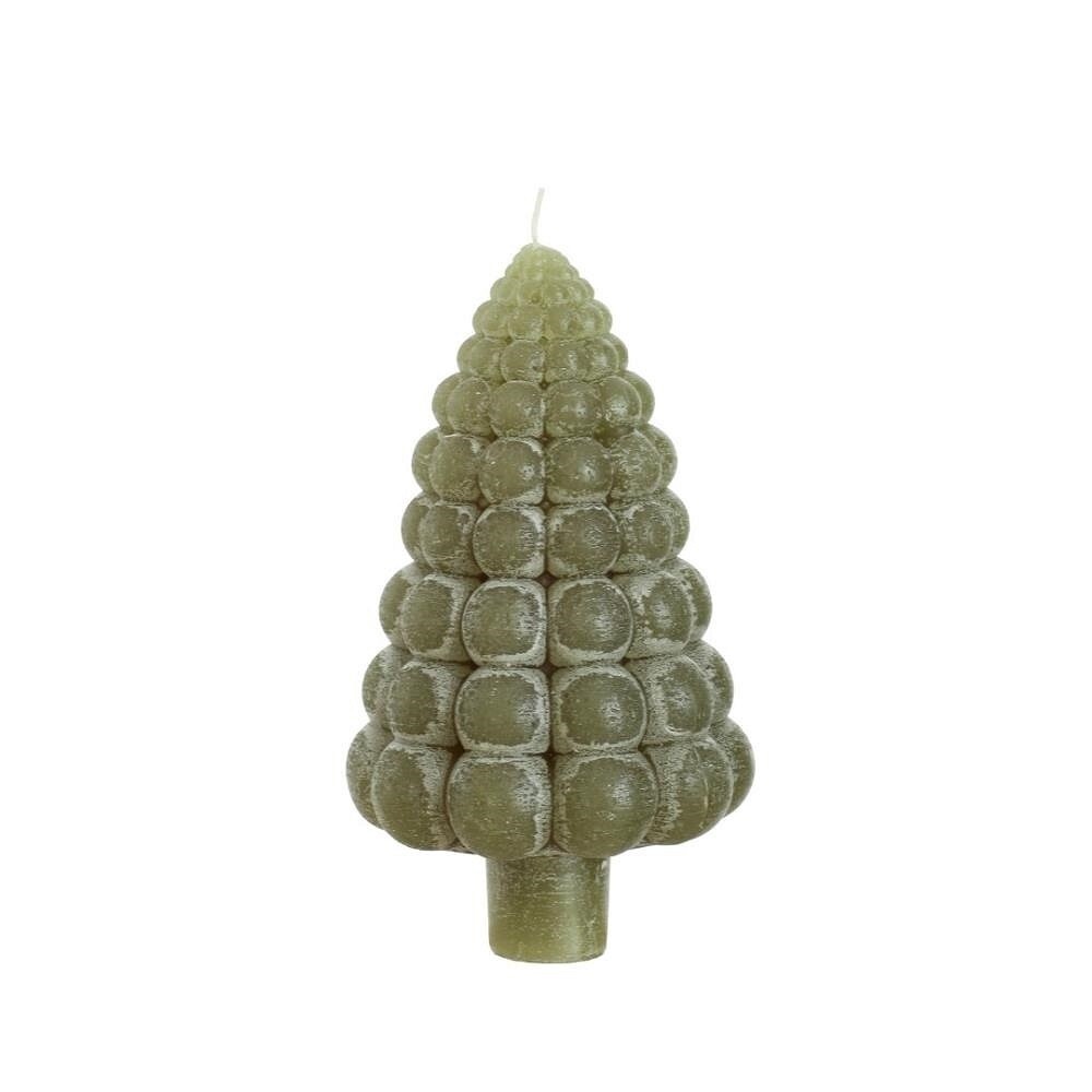 mos groene boom bubble kaars