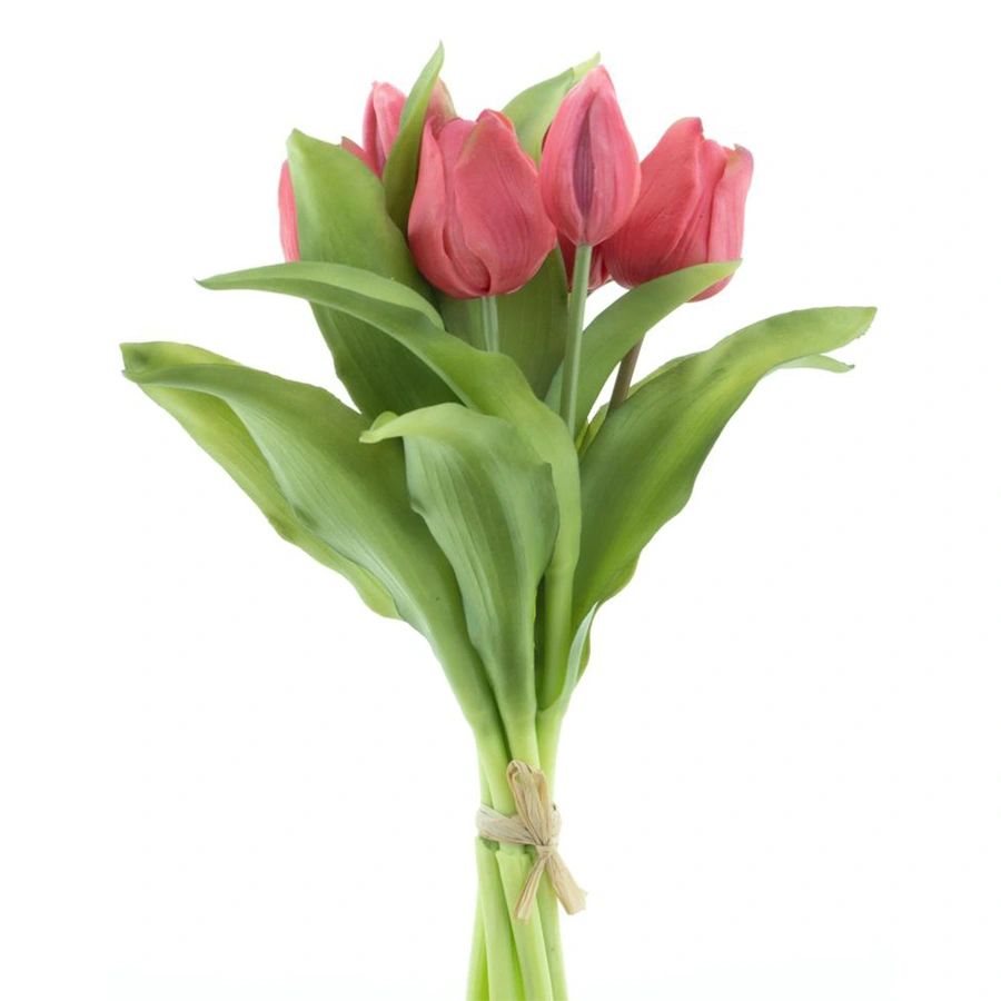 Vermeer tulp bundle new salmon 31cm