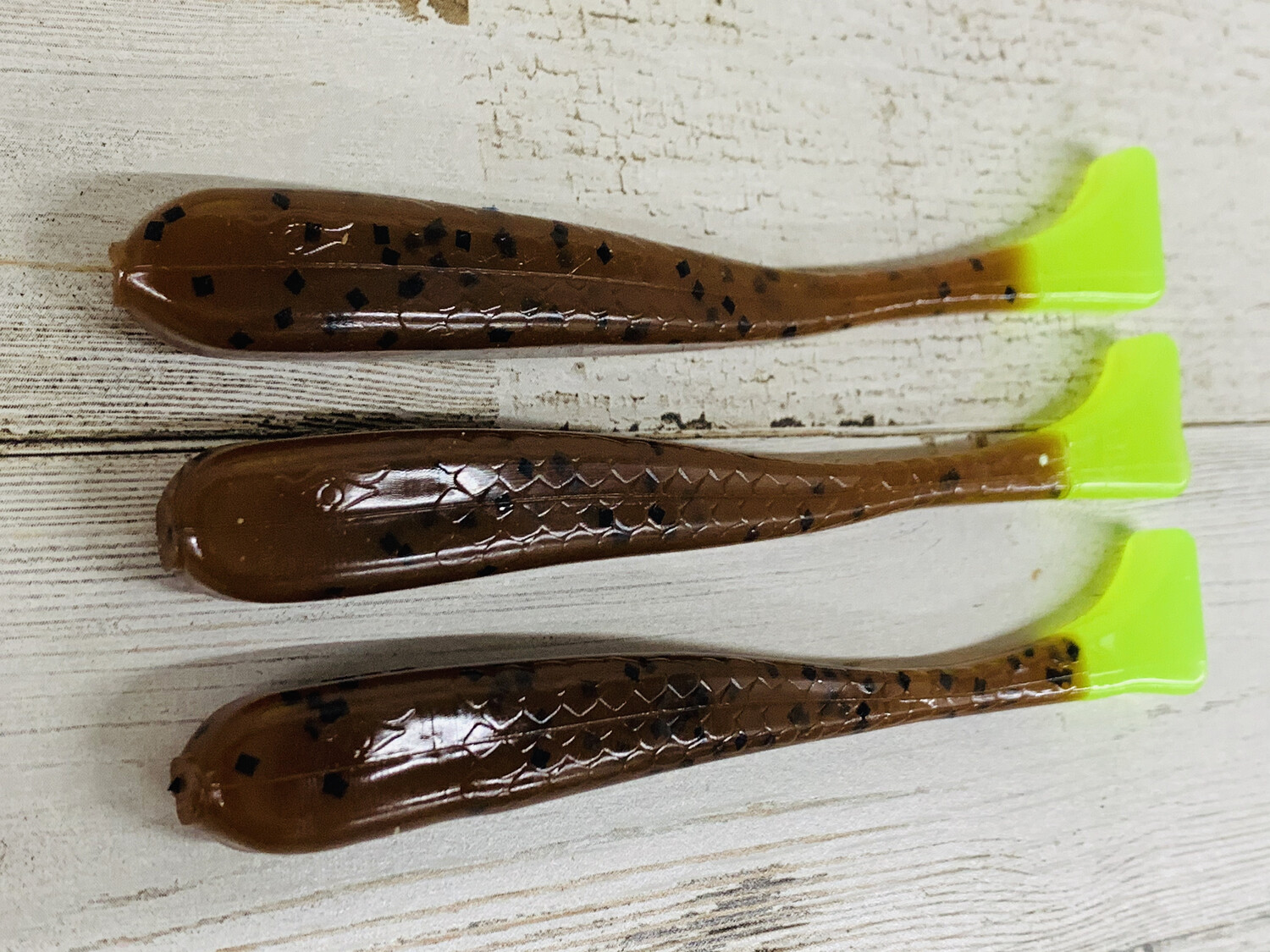 Pumpkinseed “My Daddy Said”