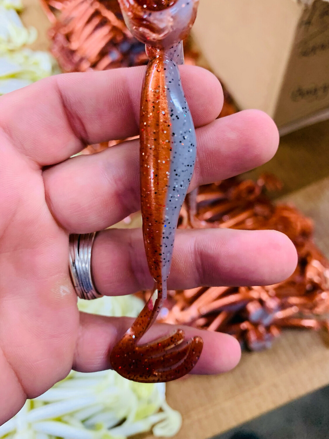 Paco’s New Penny