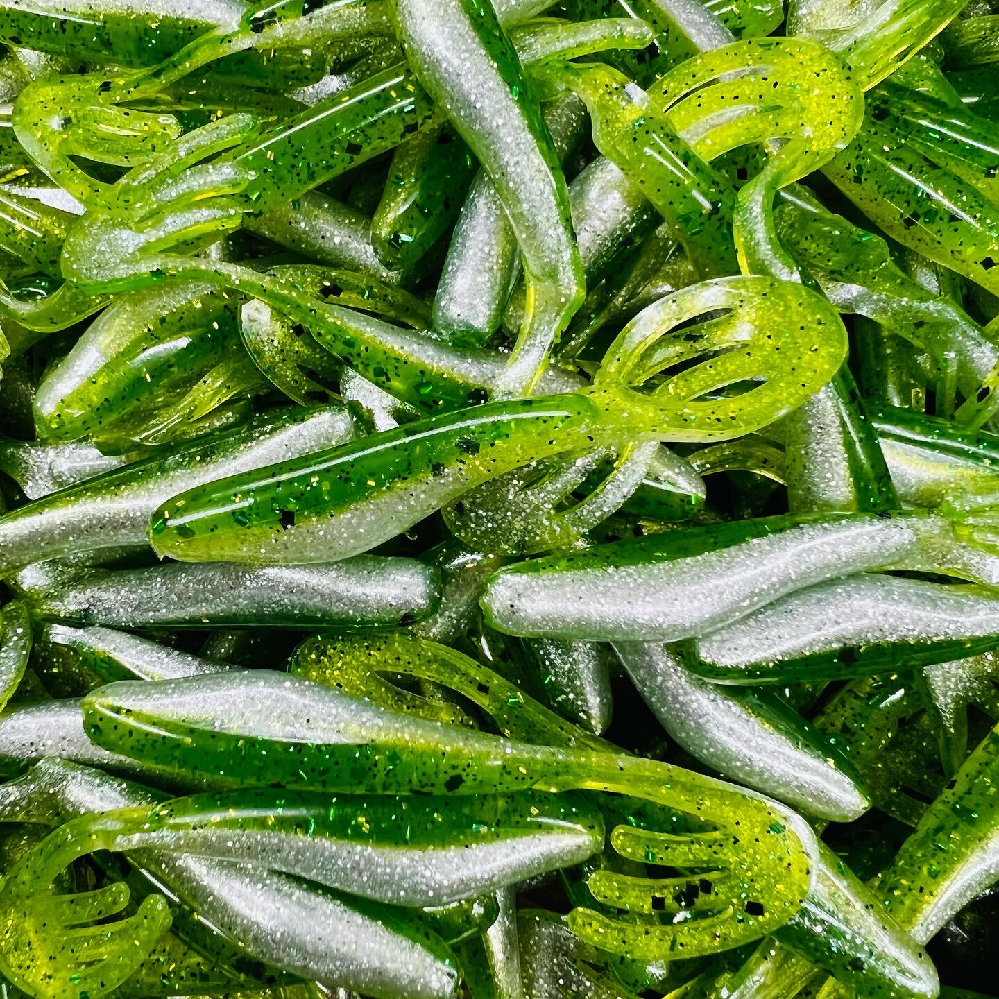 Grass Minnow