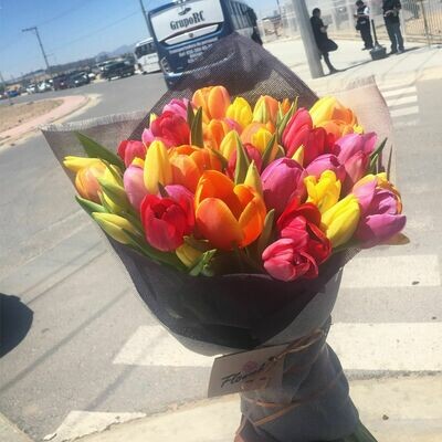 Bouquet 50 Tulipanes