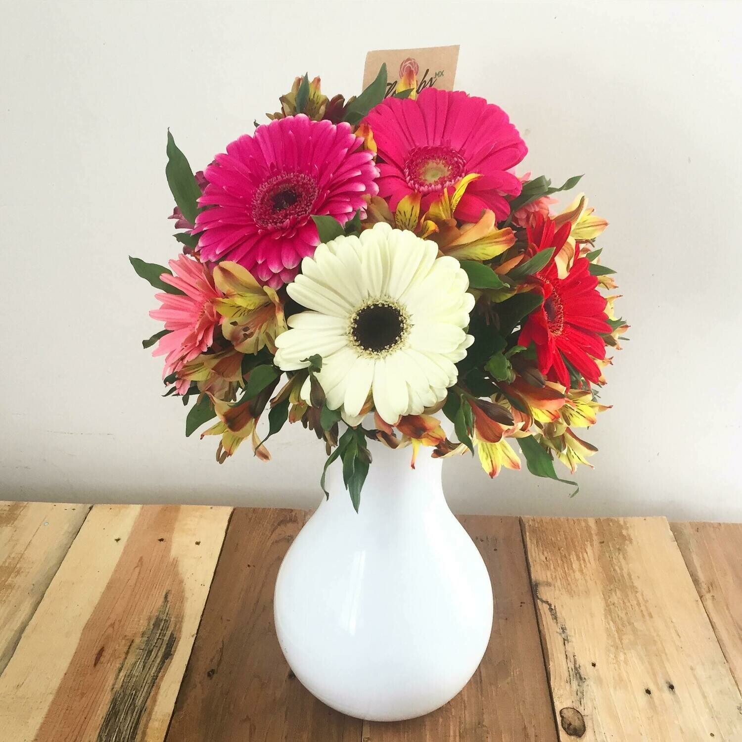 Bastet - Gerberas en Cristal