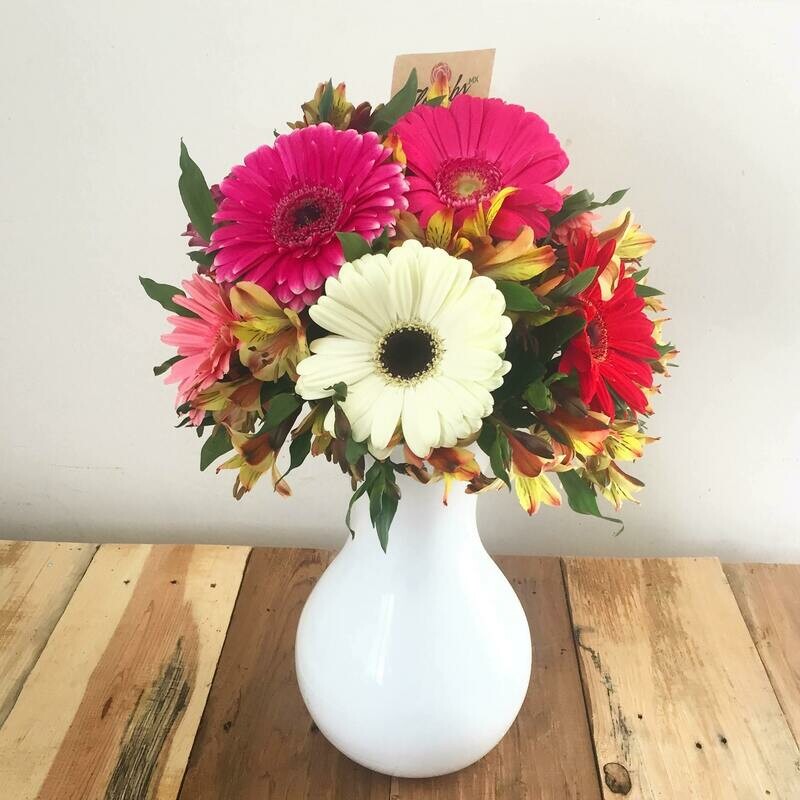 Bastet - Gerberas en Cristal