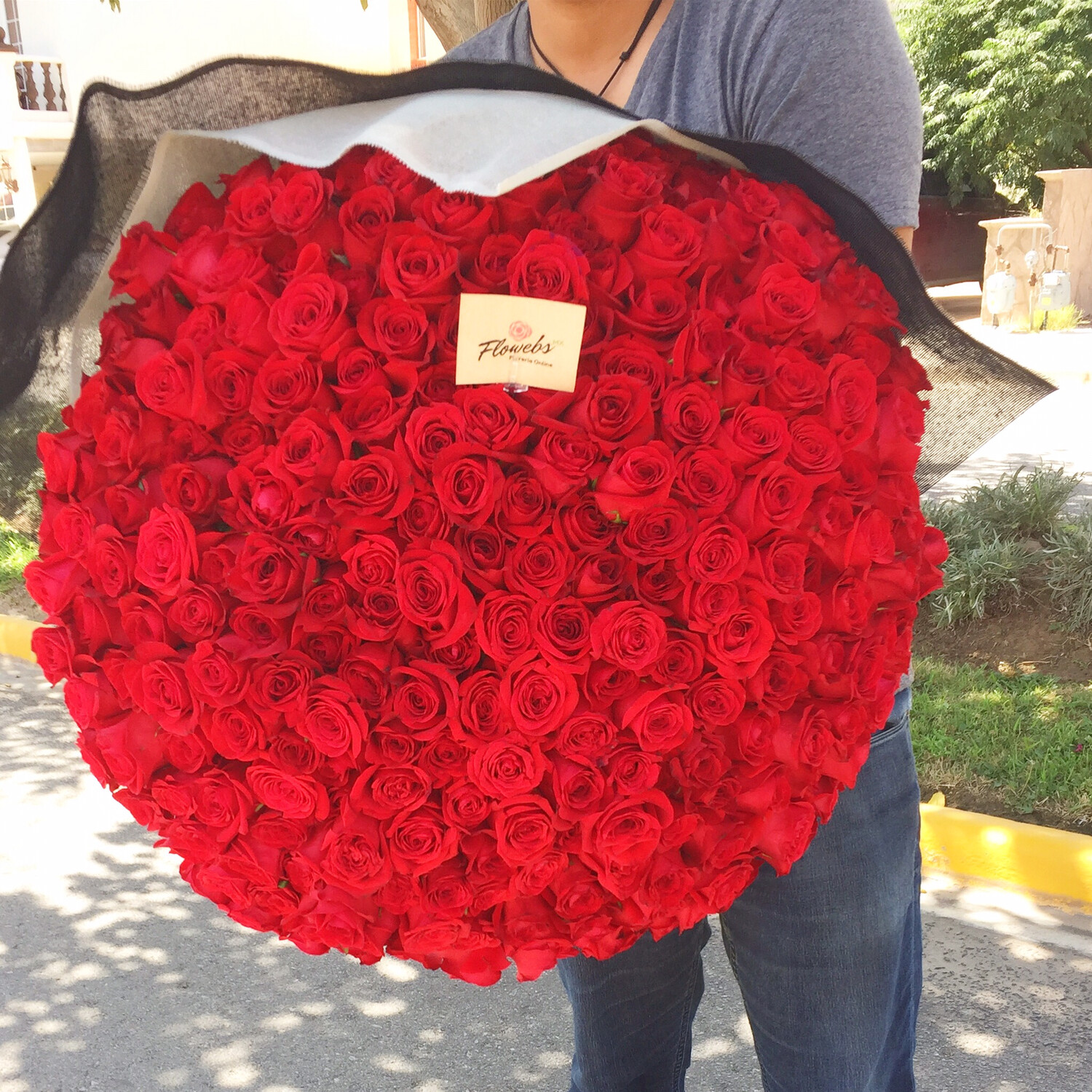 Bouquet de 300 Rosas