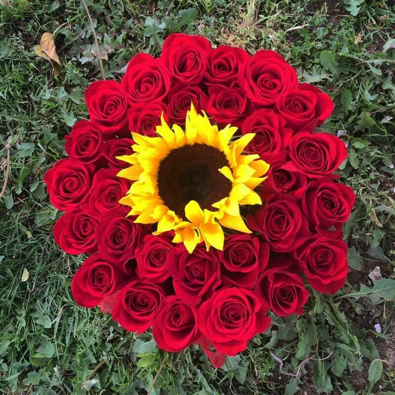 Suria - Girasol y Rosas