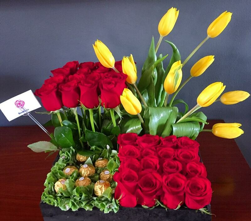 Olimpo - Rosas y Tulipanes