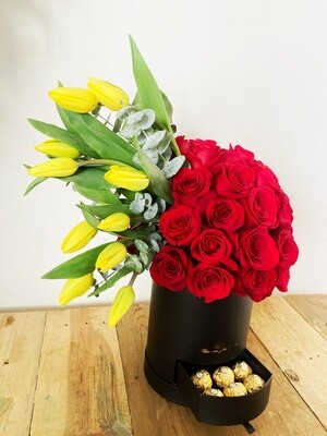 Febo - Tulipanes y Rosas