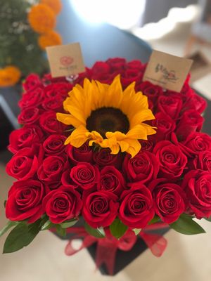 Suria - Girasol y Rosas