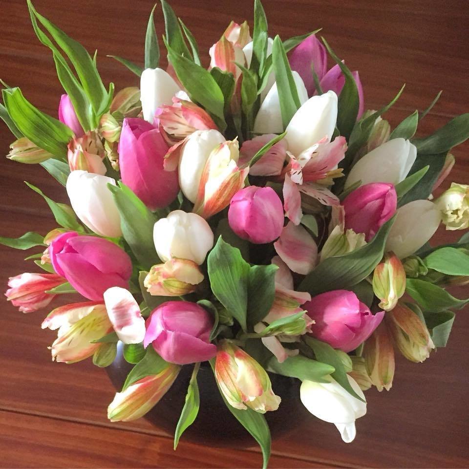 Aura - 20 tulipanes en esfera
