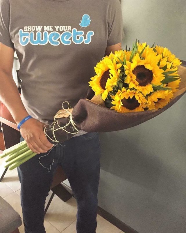 Decena de Girasoles