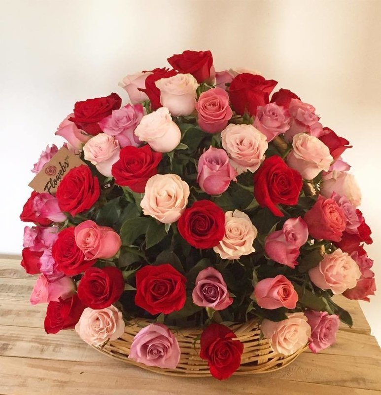 Canasta de 100 Rosas