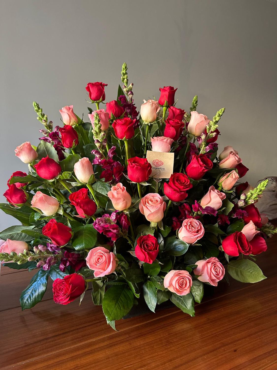 Saga - 50 Rosas