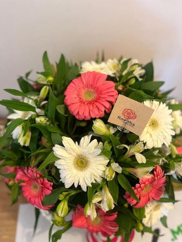 Canasta de gerberas y alstromelia