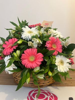 Canasta de 20 gerberas y alstromelia