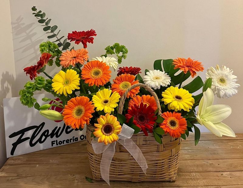 Bolsa de gerberas