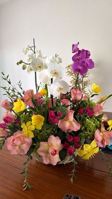 Orquídeas, rosas y más