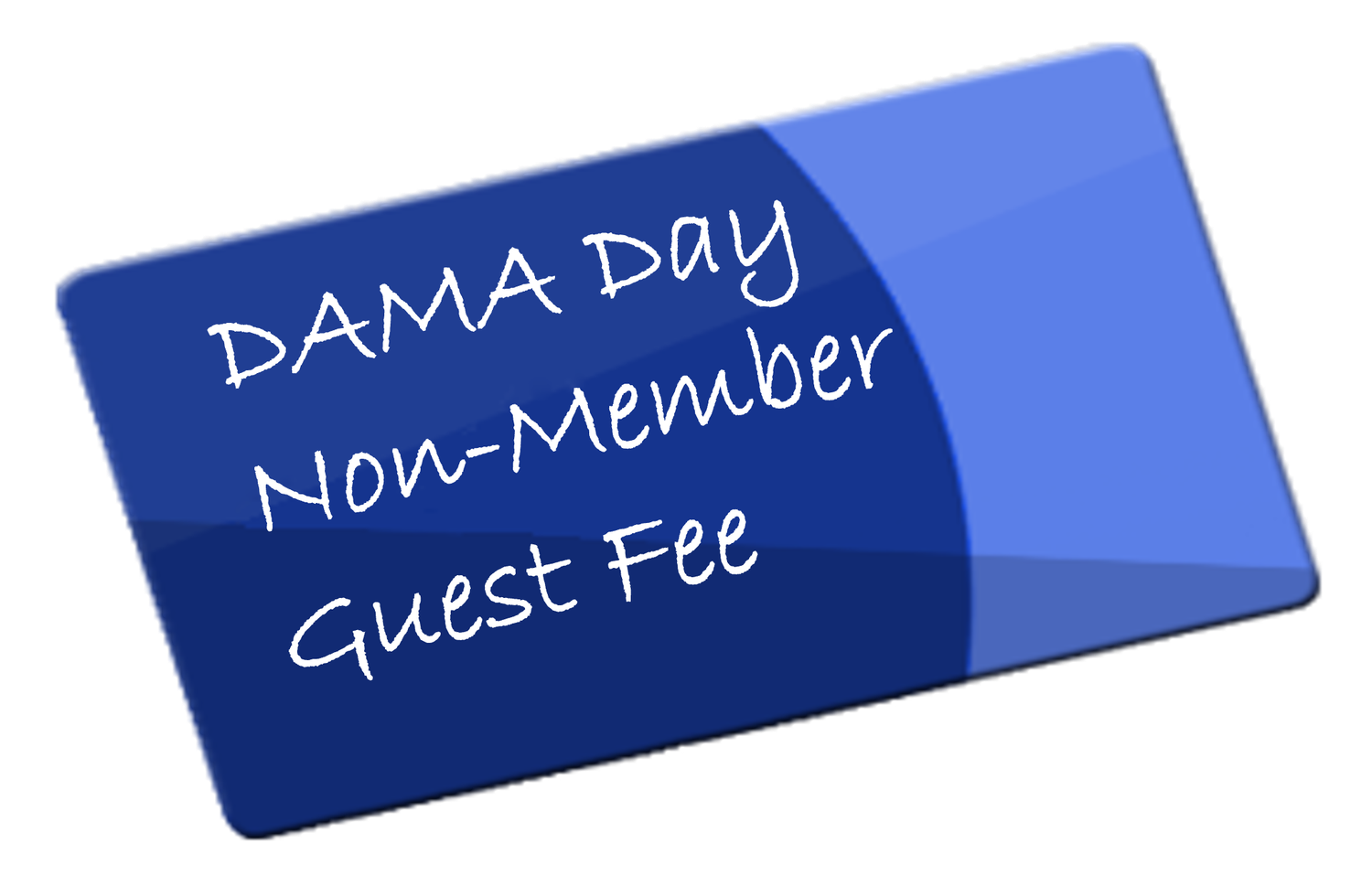 DAMA Day (Non-Member/Guest)