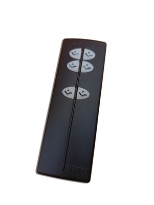 Auping afstandsbediening draadloos